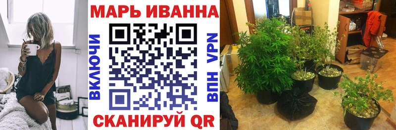 продажа наркотиков  Фрязино  дарк нет клад  Бошки Шишки SATIVA & INDICA 